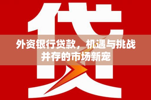 梁山外资银行贷款，机遇与挑战并存的市场新宠
