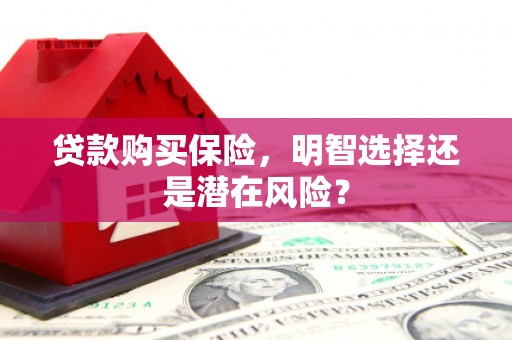 梁山贷款购买保险，明智选择还是潜在风险？