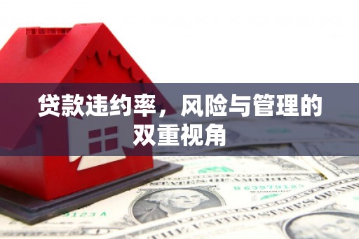 梁山贷款违约率，风险与管理的双重视角