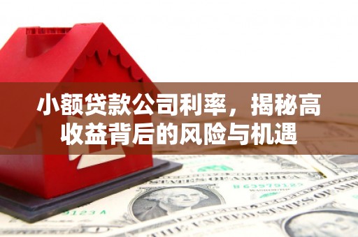 梁山小额贷款公司利率，揭秘高收益背后的风险与机遇
