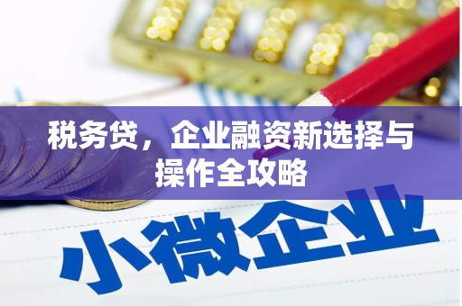 梁山税务贷，企业融资新选择与操作全攻略