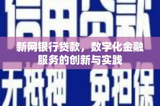 梁山新网银行贷款，数字化金融服务的创新与实践