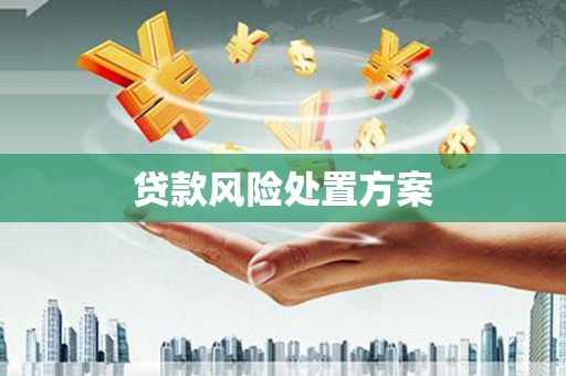 梁山贷款风险处置方案