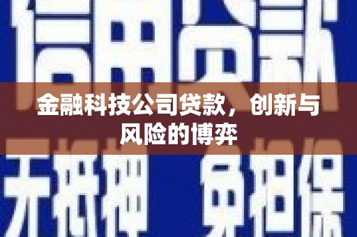梁山金融科技公司贷款，创新与风险的博弈