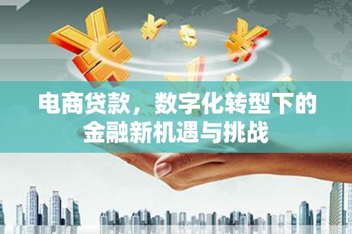 梁山电商贷款，数字化转型下的金融新机遇与挑战