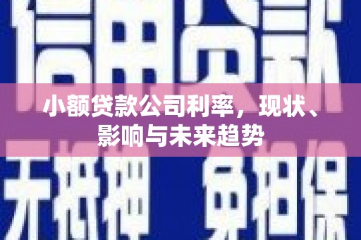 梁山小额贷款公司利率，现状、影响与未来趋势