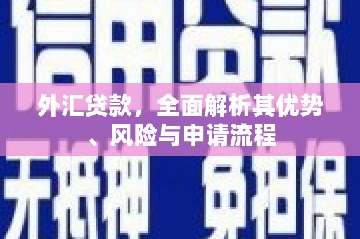 梁山外汇贷款，全面解析其优势、风险与申请流程