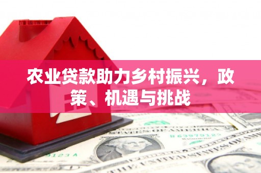 梁山农业贷款助力乡村振兴，政策、机遇与挑战