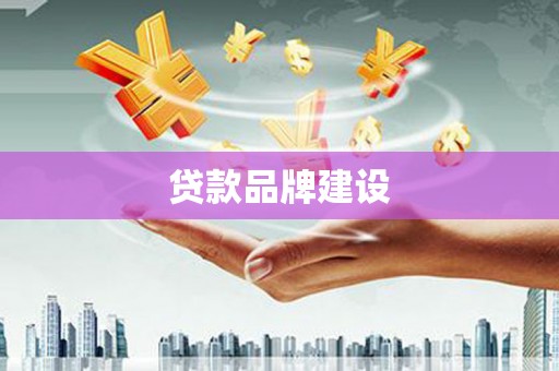 梁山贷款品牌建设