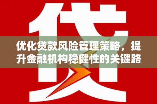 梁山优化贷款风险管理策略，提升金融机构稳健性的关键路径