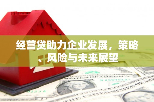 梁山经营贷助力企业发展，策略、风险与未来展望