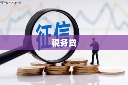 梁山税务贷