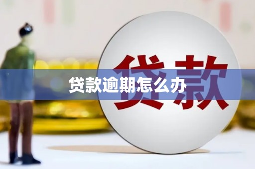 梁山贷款逾期怎么办