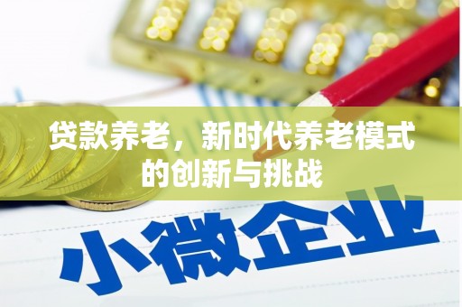 梁山贷款养老，新时代养老模式的创新与挑战