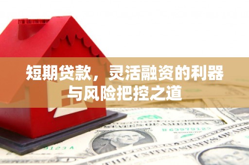 梁山短期贷款，灵活融资的利器与风险把控之道