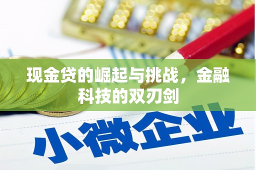 梁山现金贷的崛起与挑战，金融科技的双刃剑