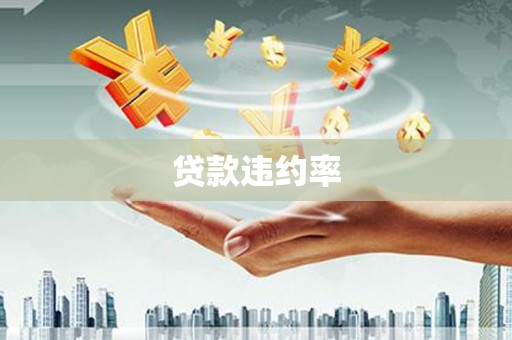 梁山贷款违约率