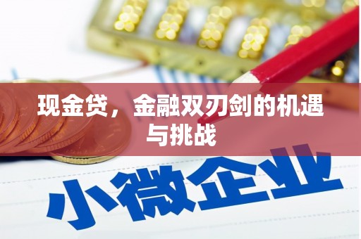 梁山现金贷，金融双刃剑的机遇与挑战