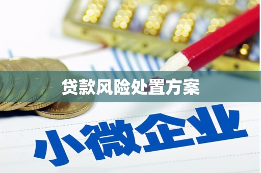 梁山贷款风险处置方案