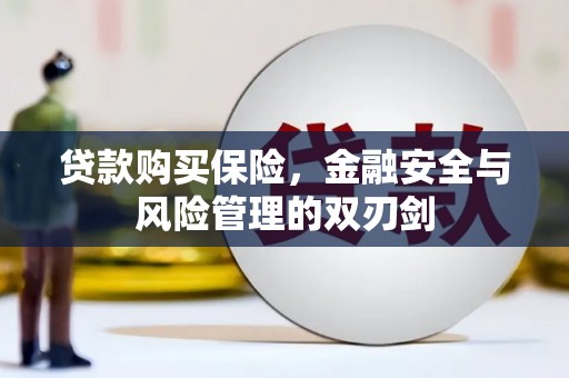 梁山贷款购买保险，金融安全与风险管理的双刃剑