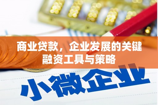 梁山商业贷款，企业发展的关键融资工具与策略