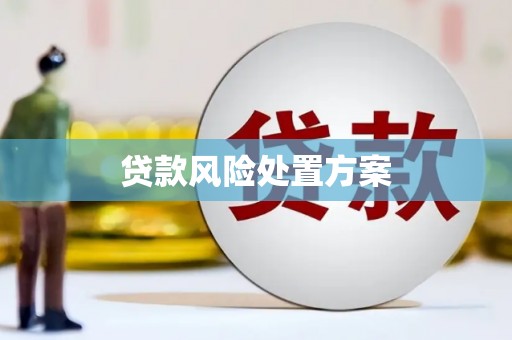 梁山贷款风险处置方案