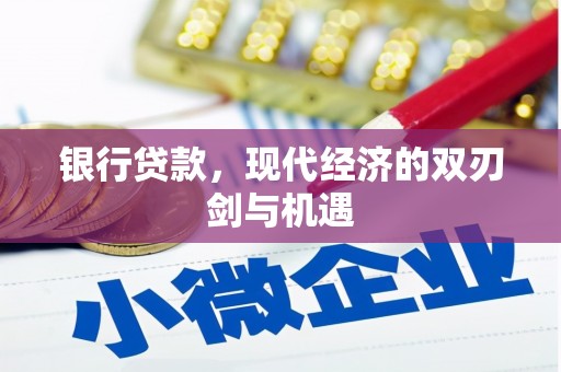 梁山银行贷款，现代经济的双刃剑与机遇