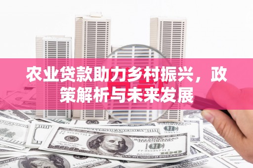 梁山农业贷款助力乡村振兴，政策解析与未来发展