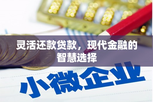 梁山灵活还款贷款，现代金融的智慧选择