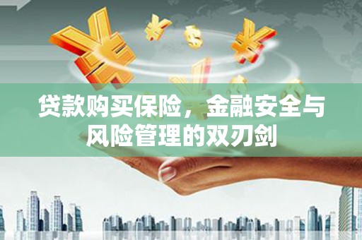 梁山贷款购买保险，金融安全与风险管理的双刃剑