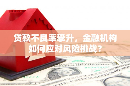 梁山贷款不良率攀升，金融机构如何应对风险挑战？