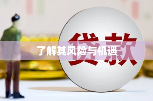 梁山了解其风险与机遇