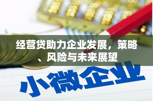 梁山经营贷助力企业发展，策略、风险与未来展望