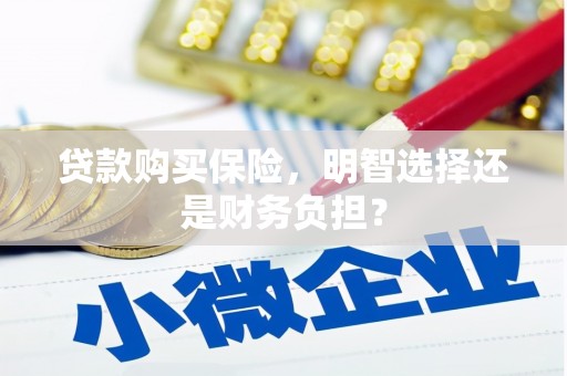 梁山贷款购买保险，明智选择还是财务负担？