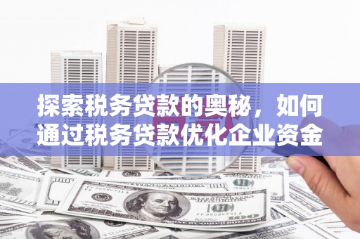 梁山探索税务贷款的奥秘，如何通过税务贷款优化企业资金流