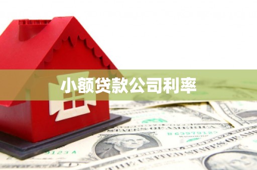梁山小额贷款公司利率