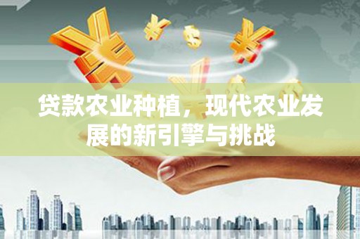 梁山贷款农业种植，现代农业发展的新引擎与挑战