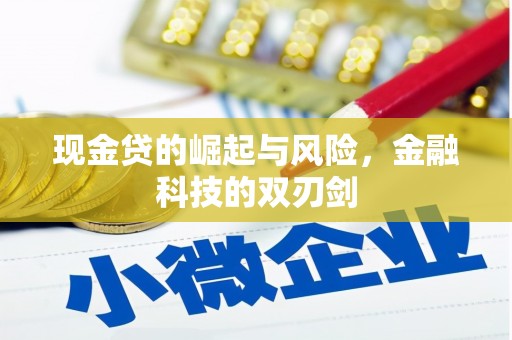 梁山现金贷的崛起与风险，金融科技的双刃剑