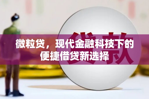 梁山微粒贷，现代金融科技下的便捷借贷新选择