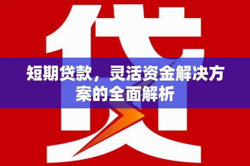 梁山短期贷款，灵活资金解决方案的全面解析
