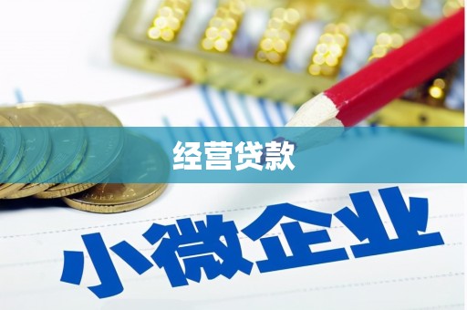 梁山经营贷款