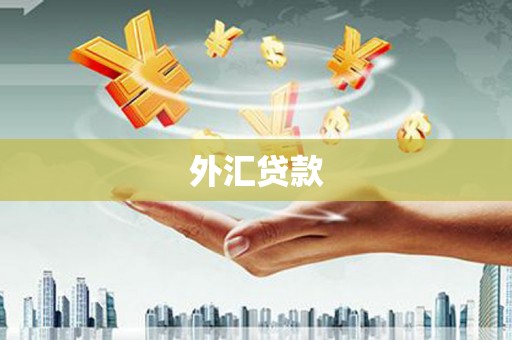 梁山外汇贷款