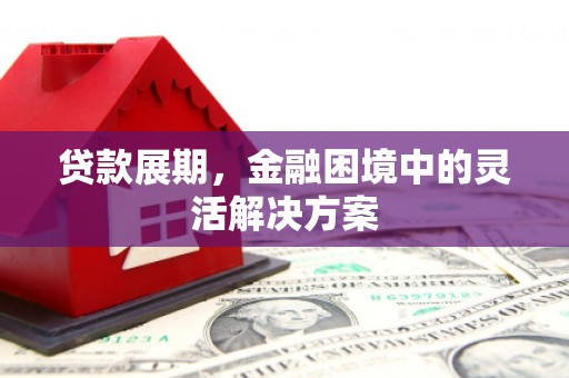 梁山贷款展期，金融困境中的灵活解决方案