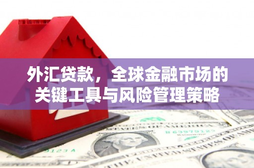 梁山外汇贷款，全球金融市场的关键工具与风险管理策略
