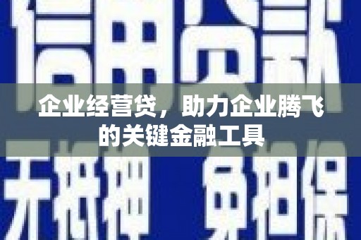 梁山企业经营贷，助力企业腾飞的关键金融工具