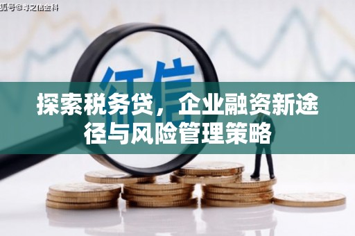 梁山探索税务贷，企业融资新途径与风险管理策略