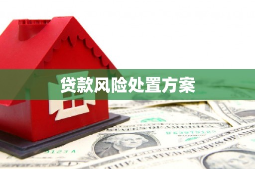 梁山贷款风险处置方案