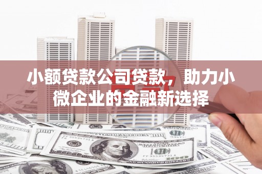 梁山小额贷款公司贷款，助力小微企业的金融新选择