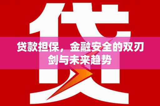 梁山贷款担保，金融安全的双刃剑与未来趋势