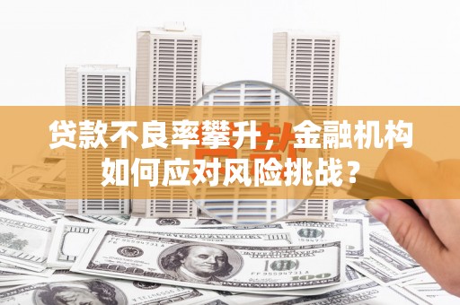 梁山贷款不良率攀升，金融机构如何应对风险挑战？
